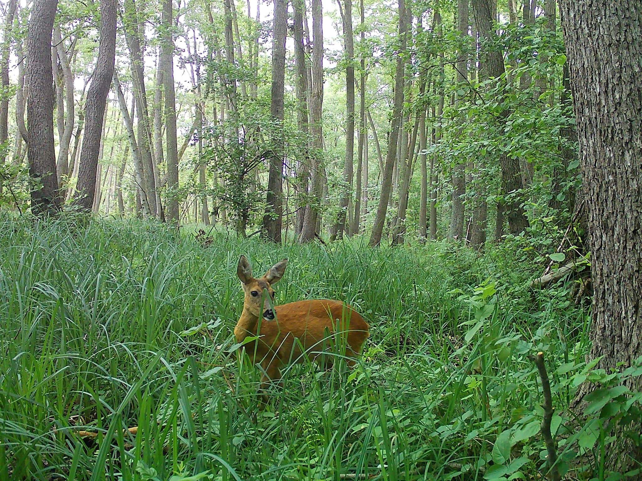 participate.page-header