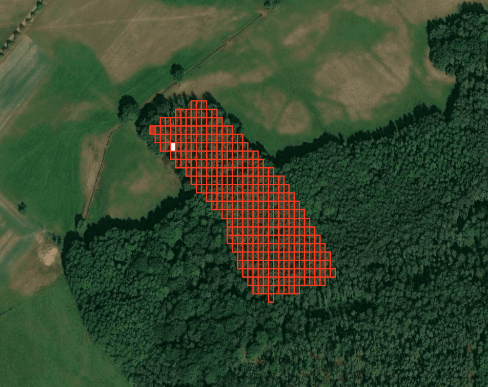 Autonomous Forest NFT Sale 